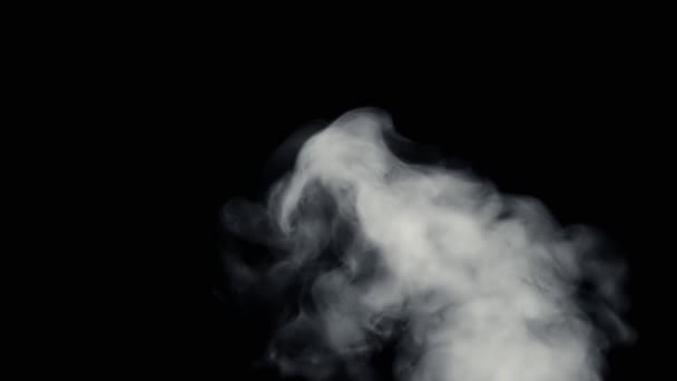 黒の背景を下から火災の煙 — ストック動画