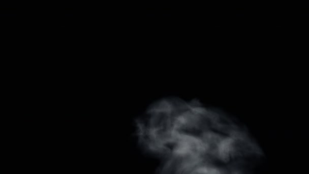 Kouř požáru zdola nahoru černém pozadí — Stock video