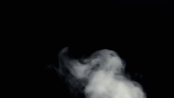 Kouř požáru zdola nahoru černém pozadí — Stock video