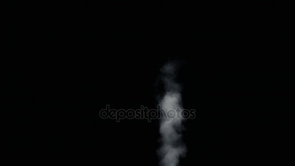 Fire rök från botten upp svart bakgrund — Stockvideo