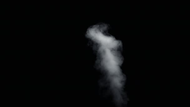 Feuer Rauch von unten nach oben schwarzen Hintergrund — Stockvideo