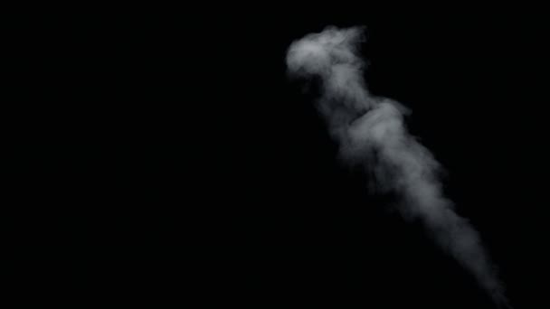 Vuur rook van Bottom-Up zwarte achtergrond — Stockvideo