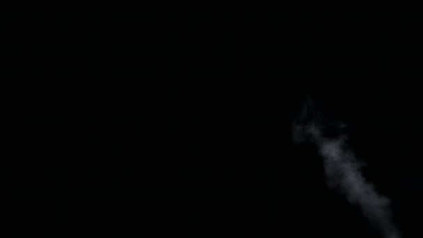 Fire Smoke from Bottom Up Black Background — Stock Video