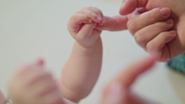 Mães dedo está segurando bebê punho — Vídeo de Stock