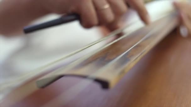 Ladys χέρι παίζοντας βιολοντσέλο — Αρχείο Βίντεο