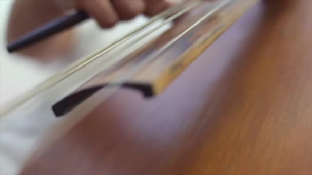 Ladys ruka hraje na violoncello — Stock video