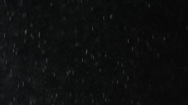 Lluvia o nieve cayendo sobre un fondo negro . — Vídeos de Stock