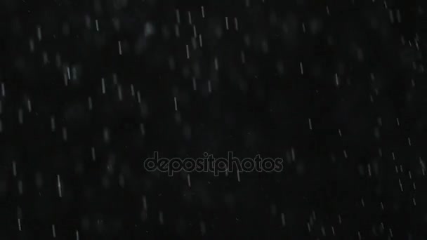 Regen oder Schnee vor schwarzem Hintergrund. — Stockvideo