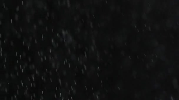 Lluvia o nieve cayendo sobre un fondo negro . — Vídeo de stock