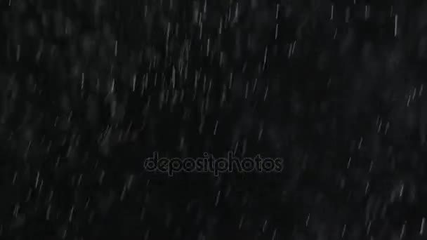 Faldende regn eller sne på en sort baggrund . – Stock-video