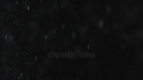 Fallande regn eller snö mot en svart bakgrund. — Stockvideo