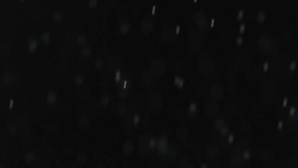 Pluie ou neige tombant sur un fond noir . — Video