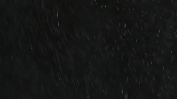 Lluvia o nieve cayendo sobre un fondo negro . — Vídeos de Stock