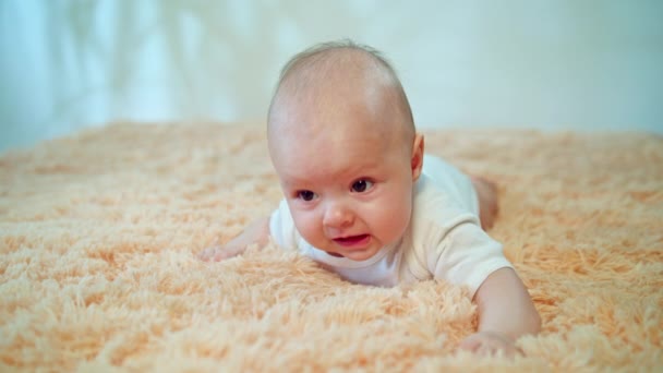 Baby liegt auf dem Bauch auf einem kuscheligen Teppich — Stockvideo