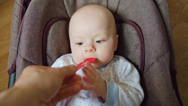 Aranyos baba babakocsi piros kanállal eszik fekve — Stock videók