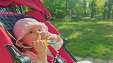 Bebek arabasındaki bebek parkta sürme