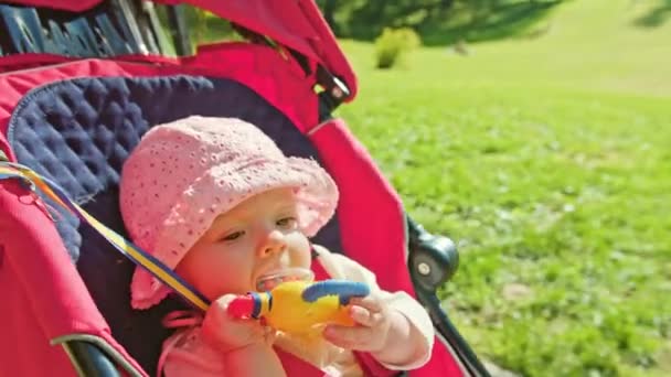 Babys Montando em um carrinho de bebê no parque — Vídeo de Stock