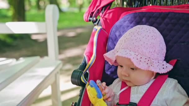 Babys sitter i en barnvagn i parken — Stockvideo