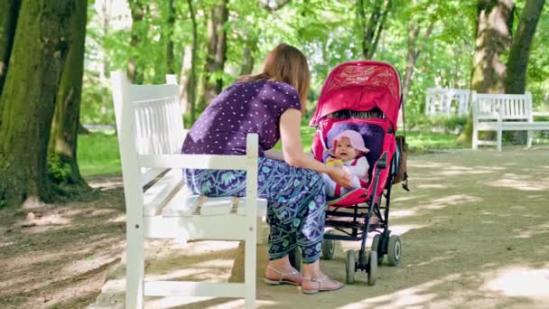 Mujer con Pram sentado en el banco en el parque — Vídeos de Stock