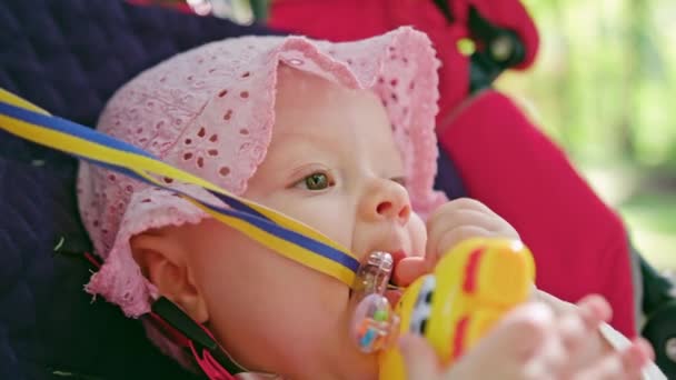 Babys zit in een kinderwagen in het Park — Stockvideo