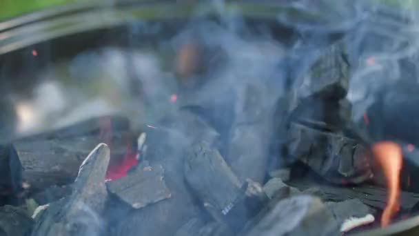 Barbecue Grill. Carbone caldo e fiamme ardenti — Video Stock