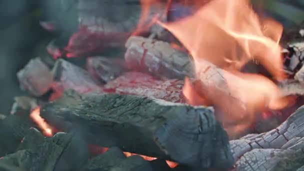 Гриль-барбекю. Горячий уголь и горящее пламя — стоковое видео