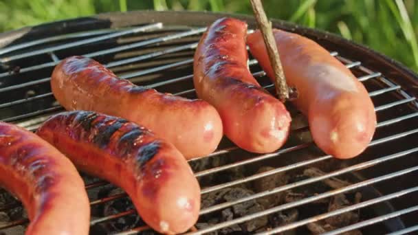 Barbacoa Grill. Embutidos a la parrilla — Vídeo de stock