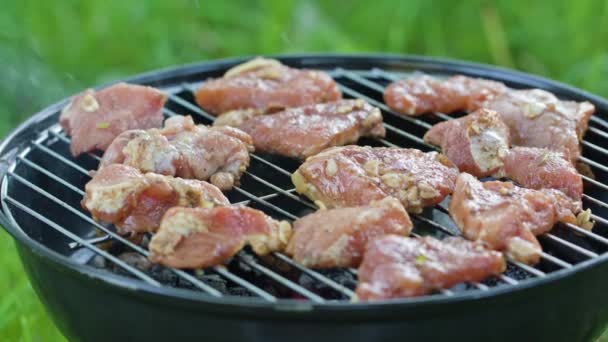 Barbecue gril. Grilování kuřecích řízků — Stock video