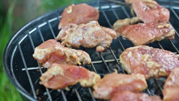 Barbecue Grill. Griller des steaks de poulet — Video