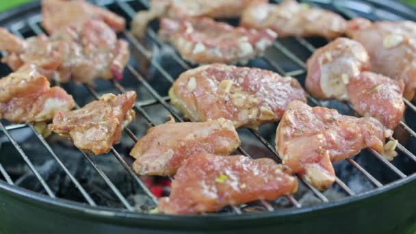 Grill grill. Grilling av kyllingbiffer – stockvideo