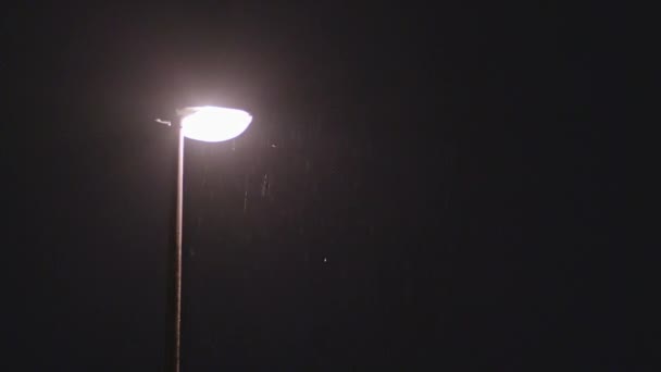 Esős éjszaka. Magányos lámpaoszlop — Stock videók