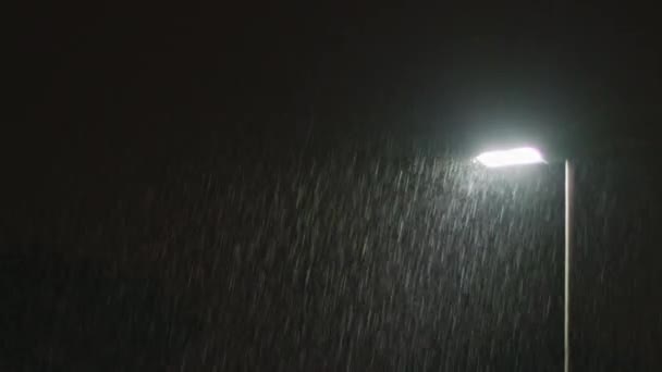 Regnig natt. Solitära lyktstolpe — Stockvideo