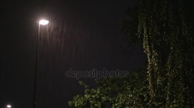 Yağmurlu gece. Yalnız sokak lâmbası direği ve ıslak bir ağaç