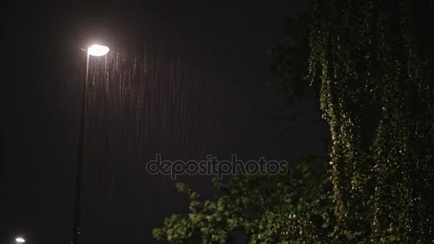 Noche lluviosa. Farola solitaria y un árbol húmedo — Vídeo de stock