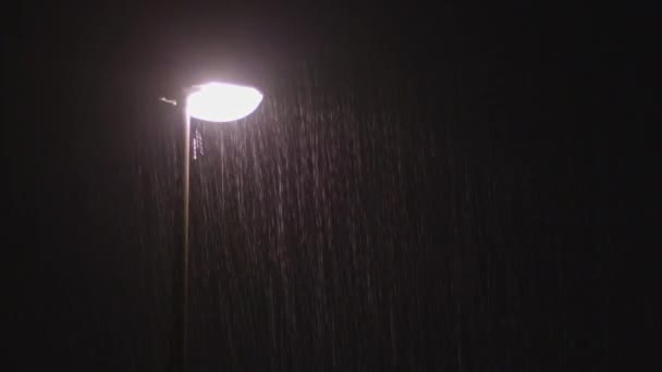 Yağmurlu gece. Yalnız sokak lâmbası direği — Stok video
