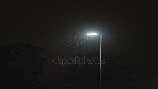 คืนที่ฝนตก โคมไฟโดดเดี่ยว — วีดีโอสต็อก
