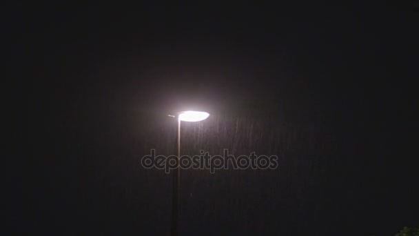 Noche lluviosa. Lámpara solitaria — Vídeos de Stock