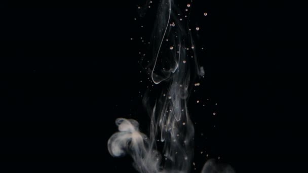 入水-黑色背景白色液体 — 图库视频影像