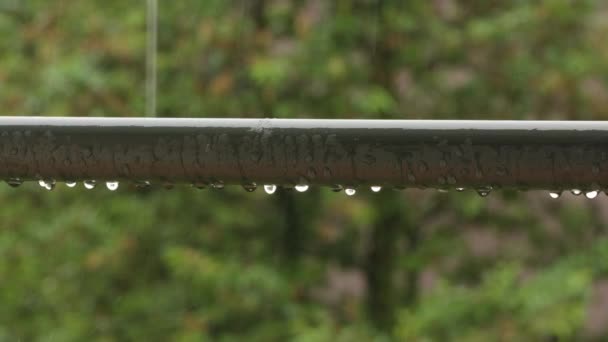Regentropfen auf einem Geländer — Stockvideo