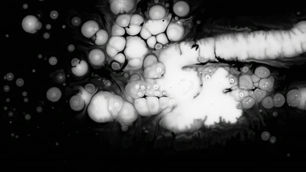 Witte inkt Drops Over natte zwart schermachtergrond — Stockvideo