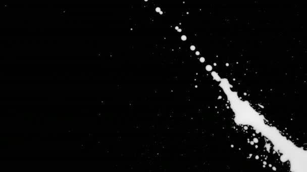 Witte inkt Splatter op zwart schermachtergrond — Stockvideo