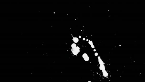 Λευκό μελάνι πιτσιλίσματα πάνω από μαύρη οθόνη υποβάθρου — Αρχείο Βίντεο