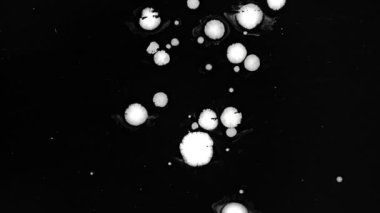 Islak siyah ekran arka plan üzerinde beyaz mürekkep damlaları