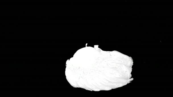 Капля белых чернил на мокром черном фоне — стоковое видео
