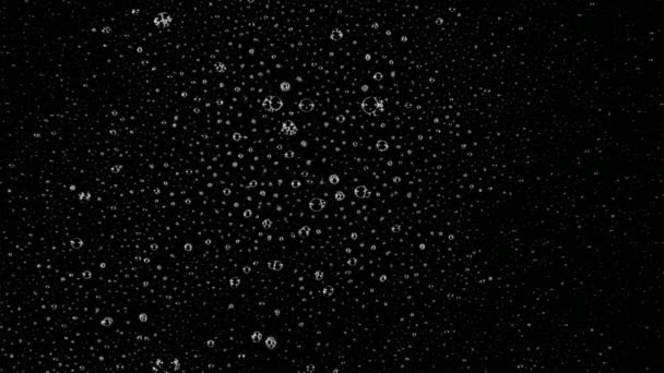 Siyah ekran arka plan üzerinde beyaz köpük parçacıkları — Stok video
