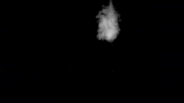 Vapor de agua blanca sobre fondo negro — Vídeos de Stock