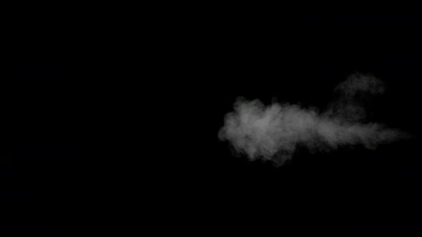 Weißer Wasserdampf auf schwarzem Hintergrund — Stockvideo