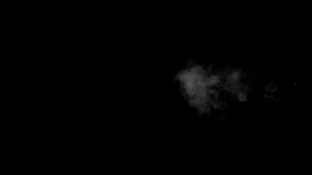 Obláček bílého vodní páry na černém pozadí — Stock video