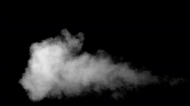 White Water Vapour on Black Background — Stock Video