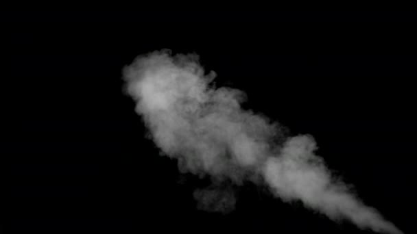 White Water Vapour on Black Background — Stock Video